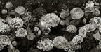 black and white floral wallpaper flat repeat motif