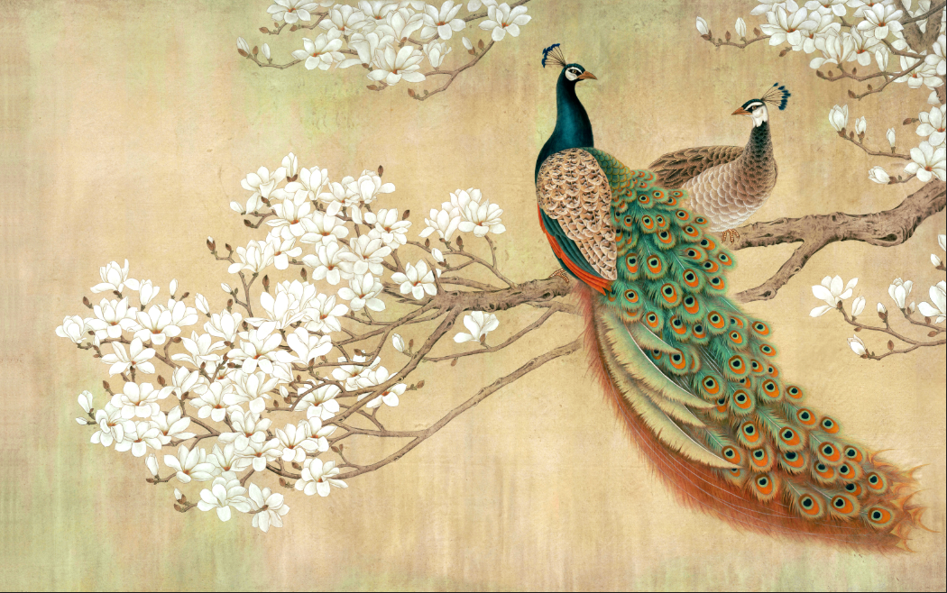 Peacock wall mural wallpaper flat repeat motif