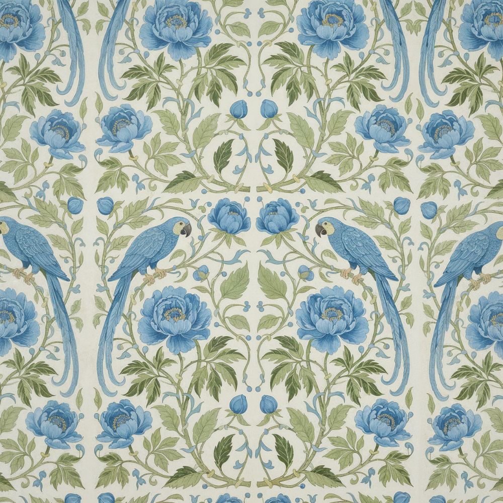 Parrot Bird Wallpaper