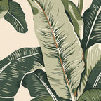 Banana Leaf Wallpaper