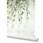 Eucalyptus Wallpaper