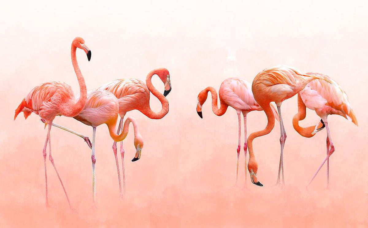 flamingo lake wallpaper pattern shown flat