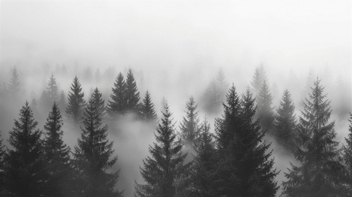 foggy forest wallpaper pattern shown flat