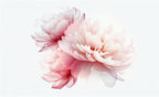 peony wallpaper pattern shown flat