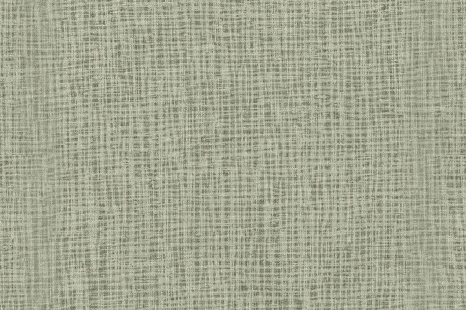 Sage green textured wallpaper flat design view